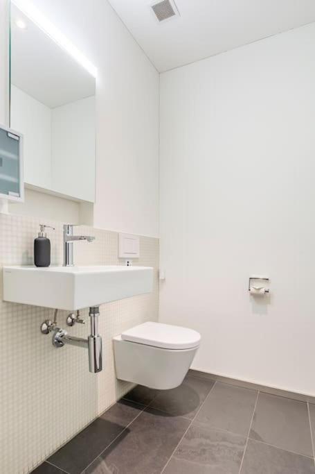 Luxus Wohnung Mit Garten Curych Exteriér fotografie